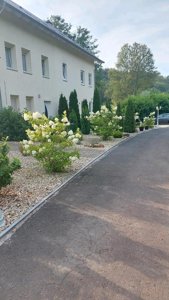Thumbnail-Vollmöbelierte Wohnung Ab sofort zu vermieten