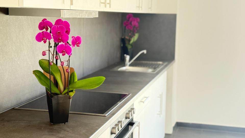 Thumbnail-großzügige 2-Zimmer-Wohnung mit Terrasse im Herzen von Bad Malente