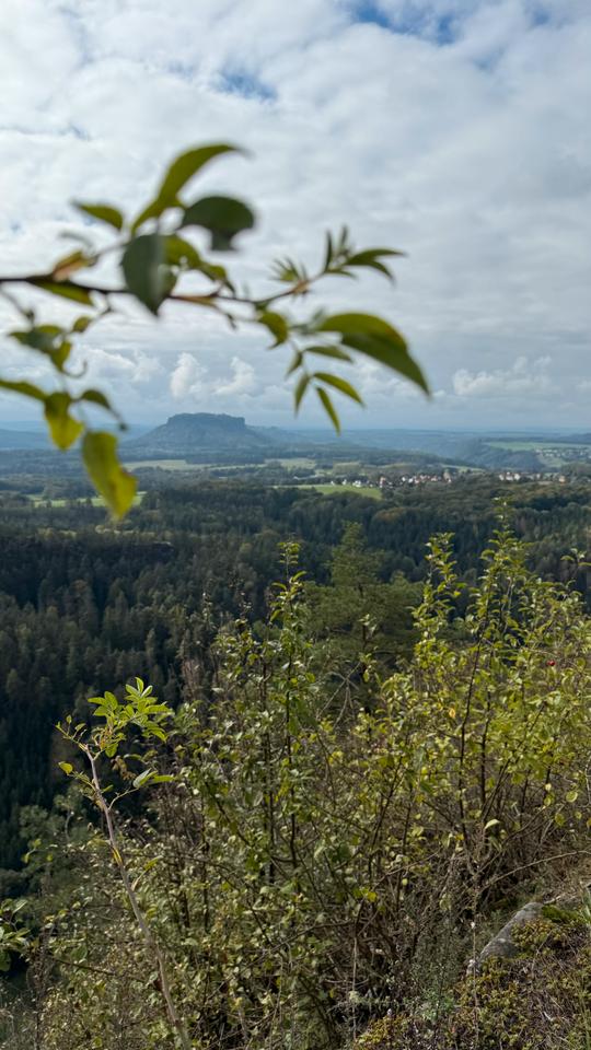 Thumbnail-Helles möbliertes WG-Zimmer 16 qm am Elbradweg in Königstein