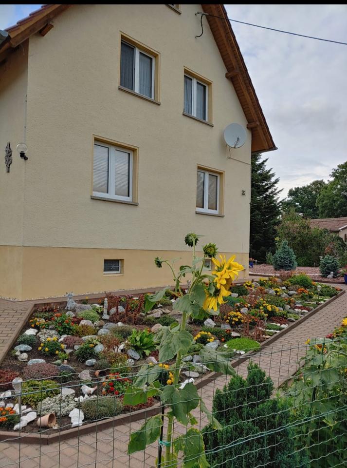 Thumbnail-freistehendes EFH mit Garten und Grundstück in ruhiger Lage