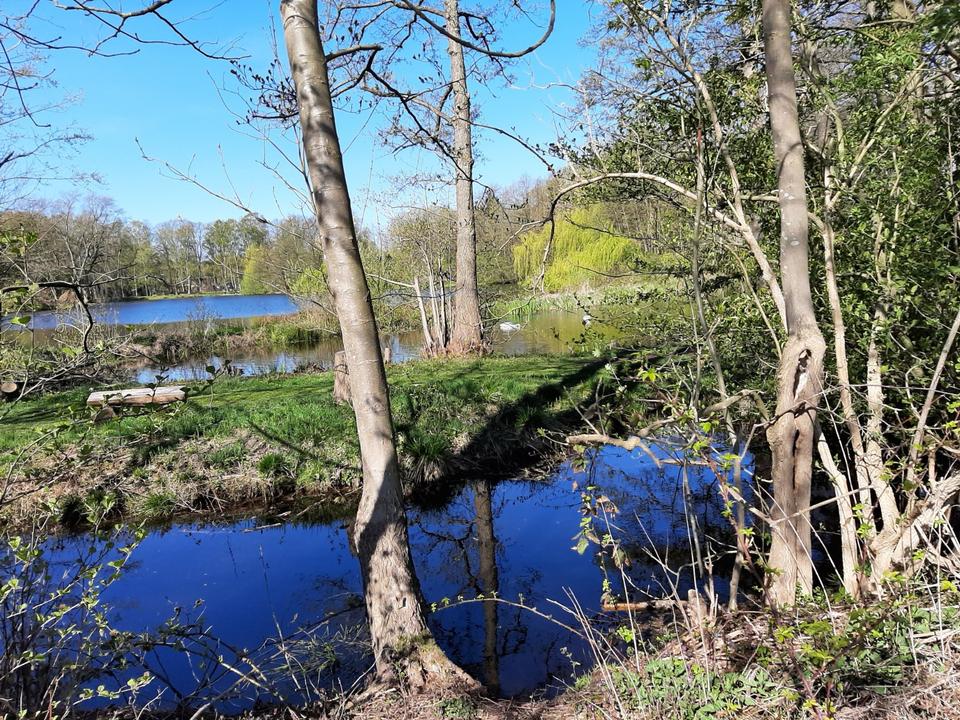 Thumbnail-Schöner Praxisraum in HH VolksdorfA- Wulfsdorf zu vermieten