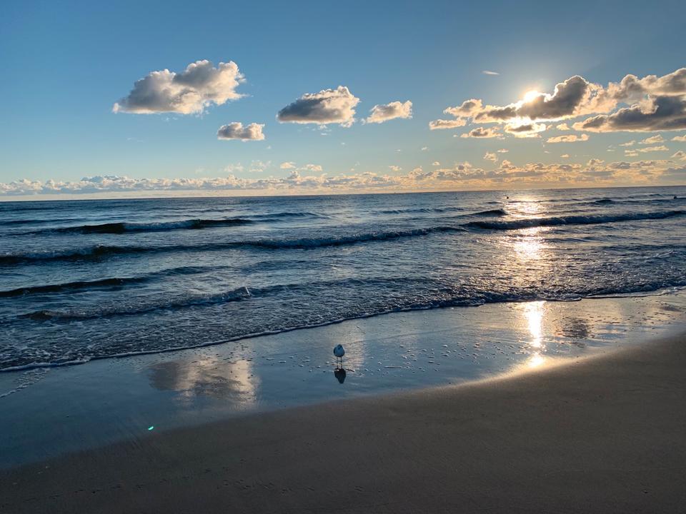 Thumbnail-Rügenurlaub Sellin Ferienwohnung Sommer 2026