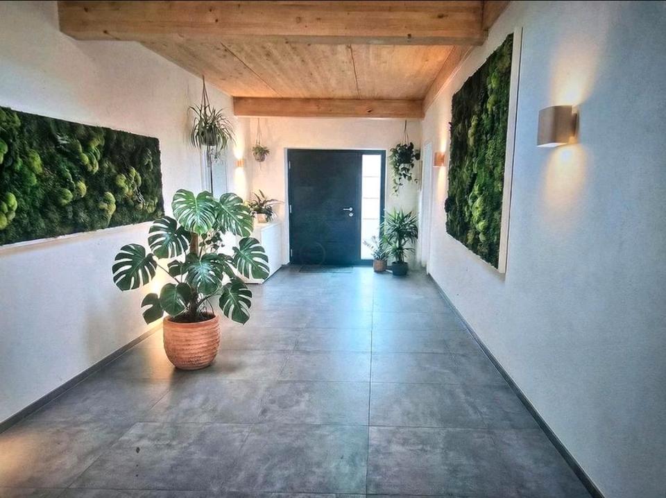 Thumbnail-Wunderschöne möbilierte 2,5 Zimmer Wohnung