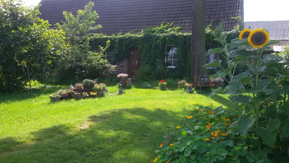 Thumbnail-Biete Wohnen gegen HandHilfe auf Tierhof im Süden Meckl. Vorpom.