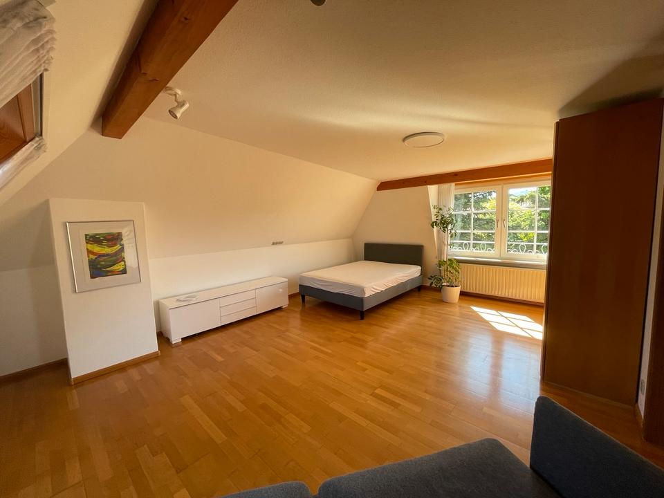 Thumbnail-Dachgeschoss Wohnung LahrBurgheim