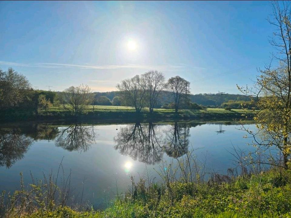 Thumbnail-Urlaub direkt an der Saale, Ferienwohnung, Pension, Angeln, Natur
