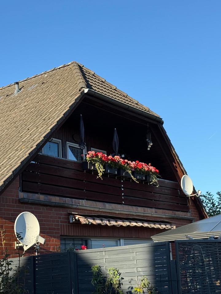 Thumbnail-Top 3 Zimmer Wohnung mit Süd-Sonnen-Balkon, Garten, ruhige Lage