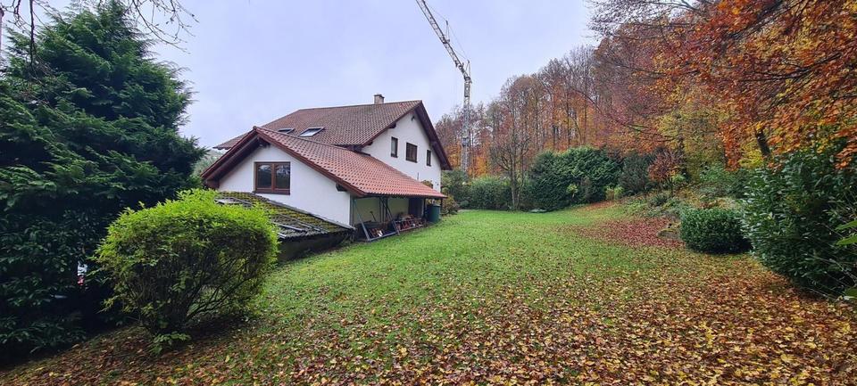 Thumbnail-charmantes 1-Zi-Appartement mit Küche & Terrasse direkt am Waldrand in Eisingen (Enzkreis)