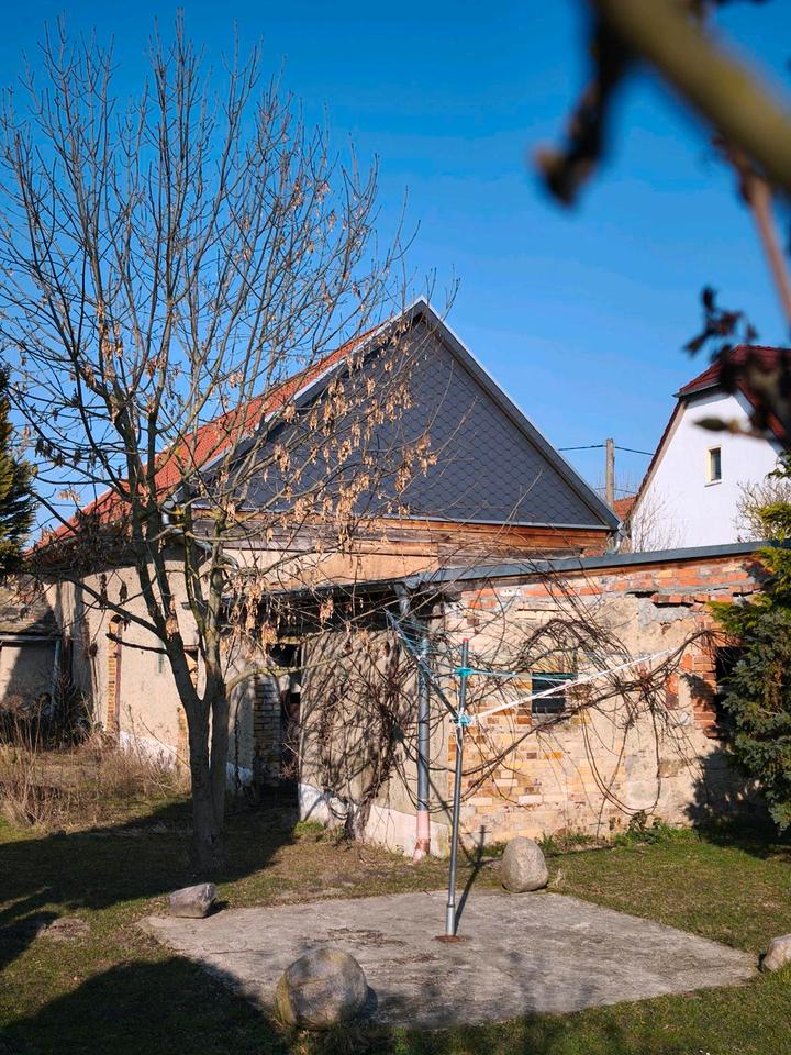 Thumbnail-Einfamilienhaus Lehmhaus Bauernhaus