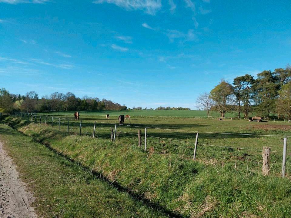 Thumbnail-Einfamilienhaus - fußläufig zum Naturschutzpark Lüneburger Heide