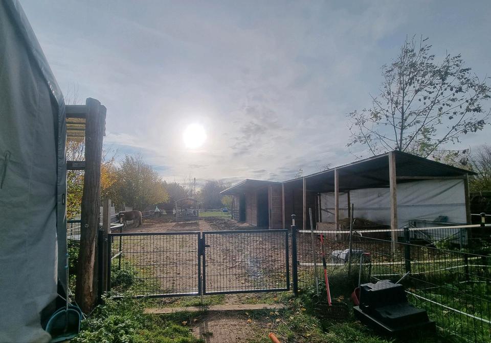 Thumbnail-Saniertes Einfamilienhaus mit Pferdeparadies