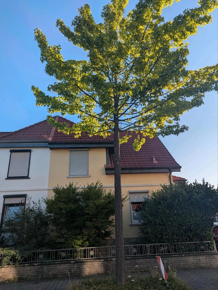 Thumbnail-*Bezaubernde Doppelhaushälfte*