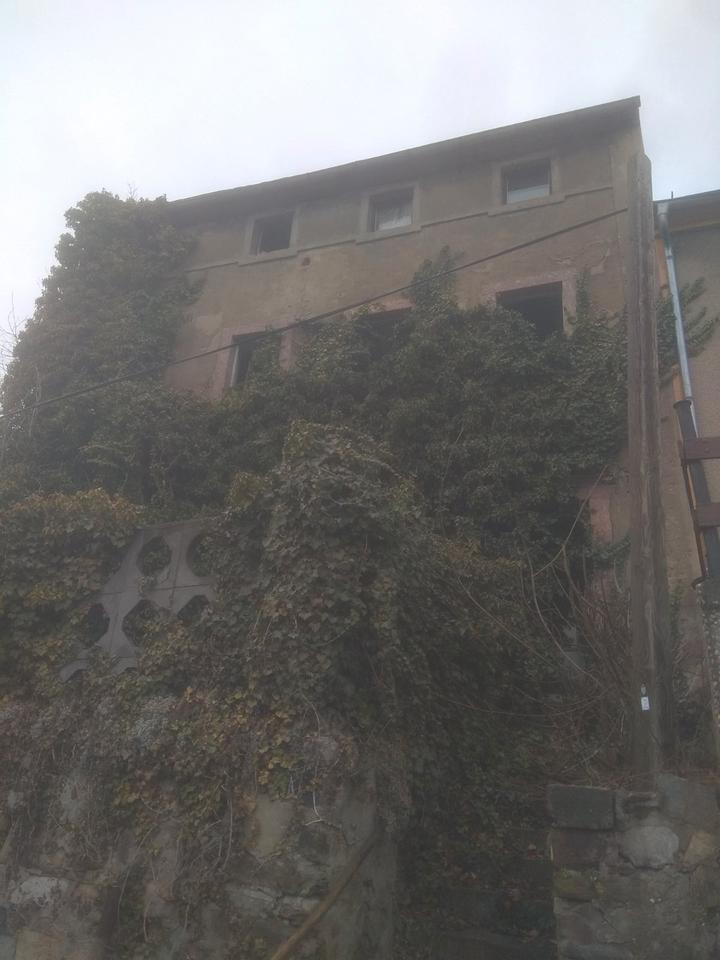 Thumbnail-Mehrfamilienhaus mit Dachterrasse & großem Potenzial in ruhiger