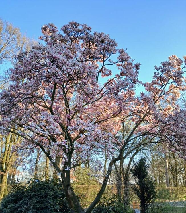 Thumbnail-Energieeffizientes Haus mit Garten, Erstbezug nach Kersanierung