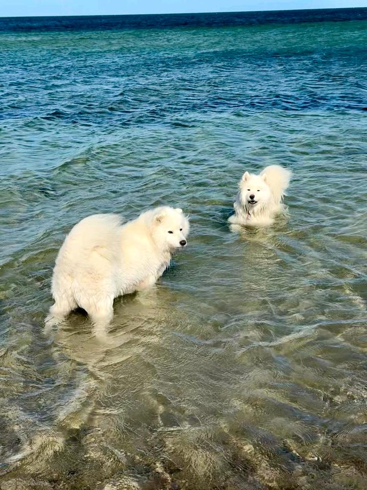 Thumbnail-Ferienwohnung an der Ostsee bei Heiligenhafen