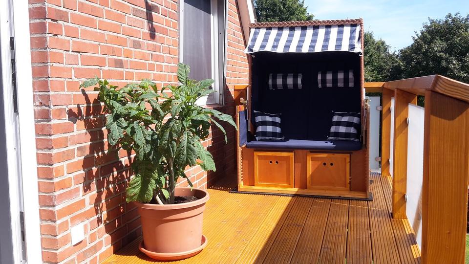 Thumbnail-Ferienwohnung FehmarnOstsse - zentral in Burg für 1-2 Personen ♥