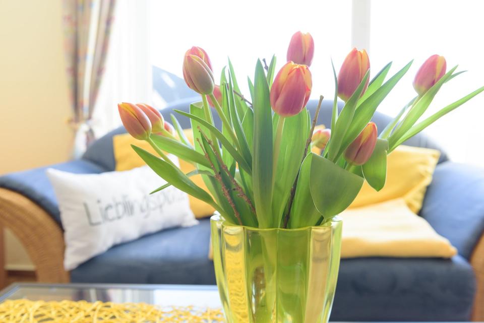 Thumbnail-Urlaub in GRÖMITZOSTSEE