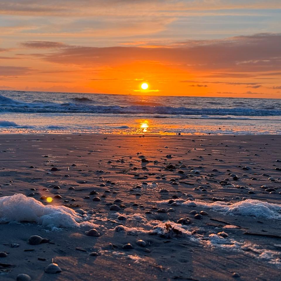 Thumbnail-Borkum, Nordseeinsel Wohnung für 2Pers,tierfrei mit Balkon