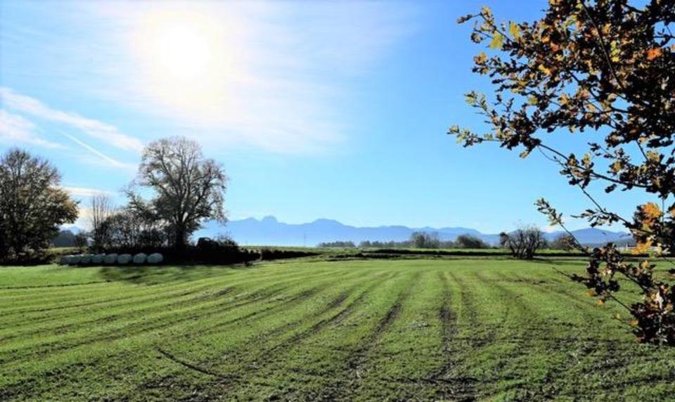 Thumbnail-Großzügiges 1-Zimmer-Neubau-Apartment 47 m² Willing, Bad Aibling