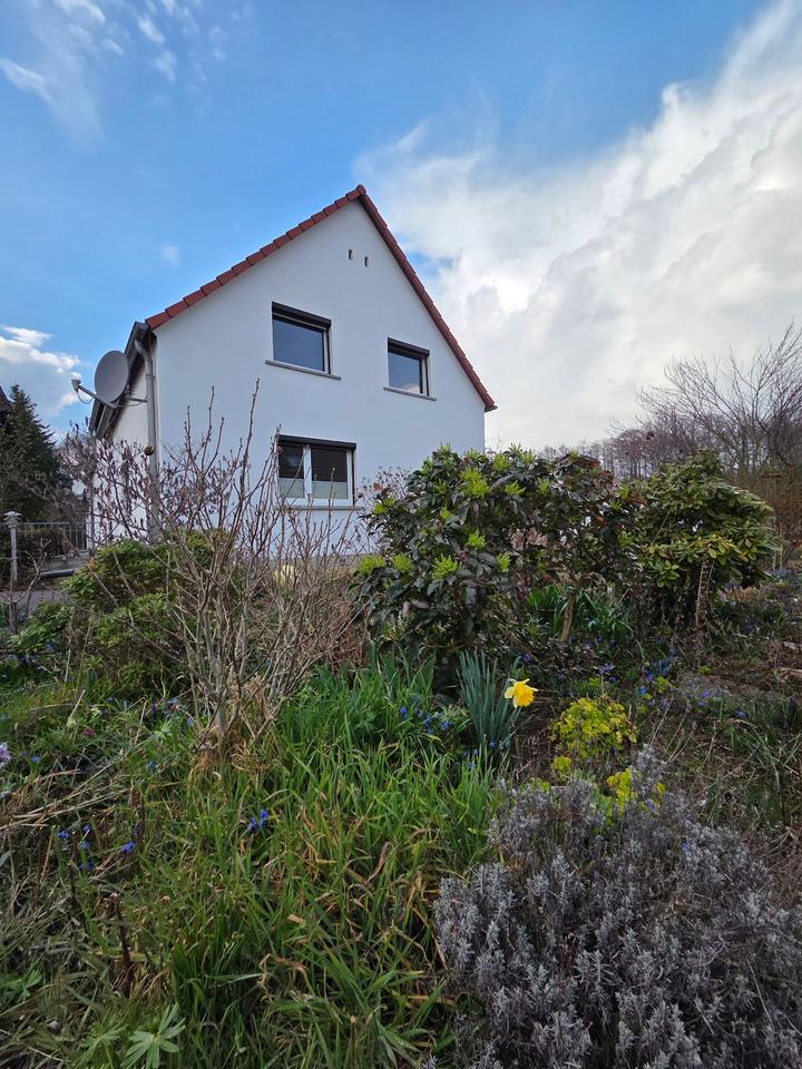Thumbnail-Doppelhaushälfte in Radebeul-Lindenau im Dornröschenschlaf