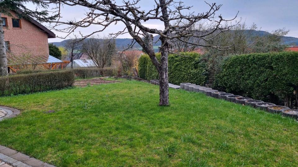 Thumbnail-2-Zimmer Einliegerwohnung 45 sq