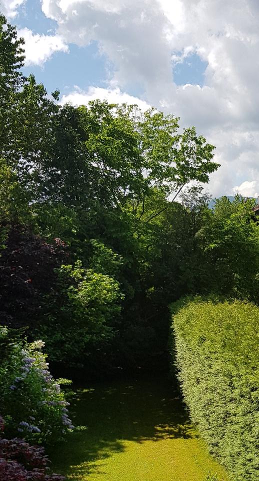 Thumbnail-Wohnung in Grassau 1 bis 2 Zimmer nicht zu teuer