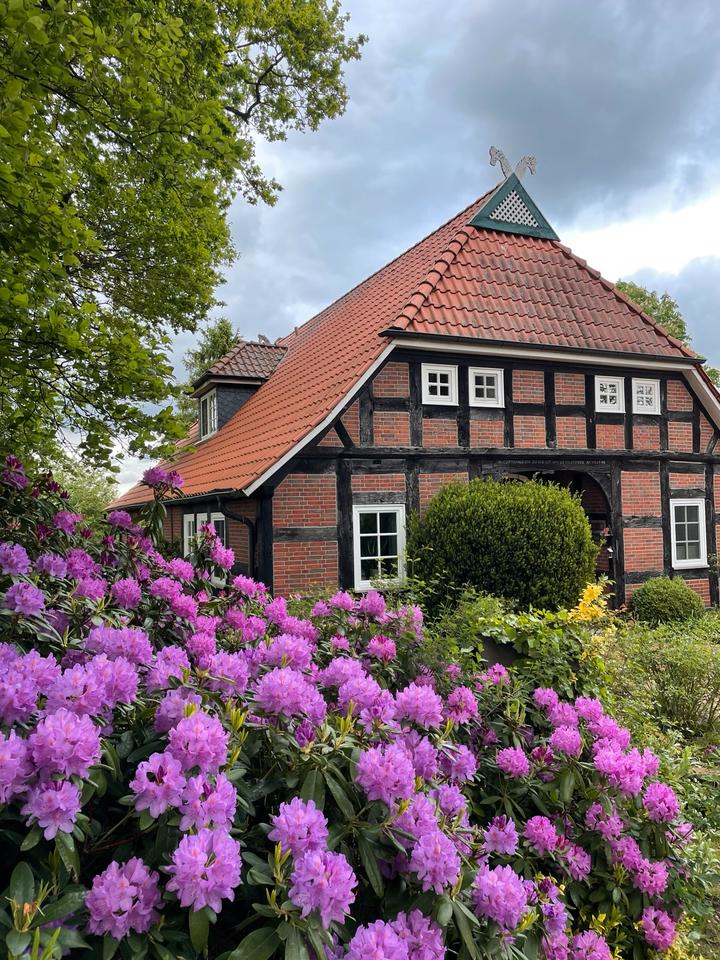 Thumbnail-Resthof Haus Fachwerkhaus Asendorf Graue zu verkaufen