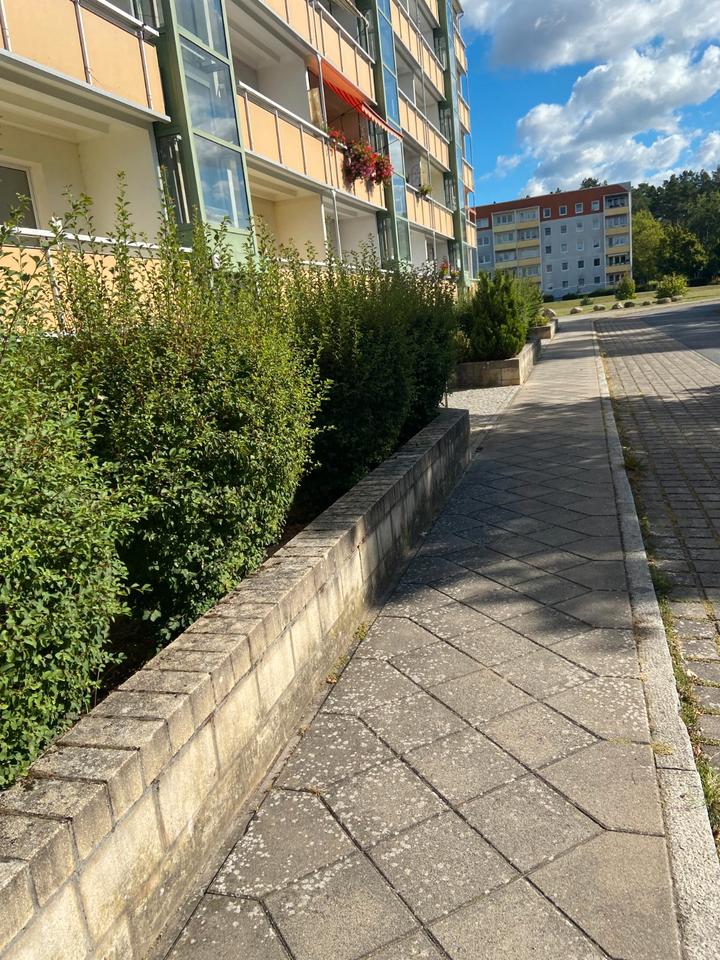 Thumbnail-655211 Schöne 3-Raumwohnung in ruhiger Lage von Torgelow
