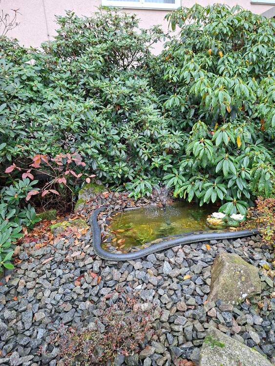 Thumbnail-Schöne Wohnung in ruhiger Lage Nagold - PROVISIONSFREI -