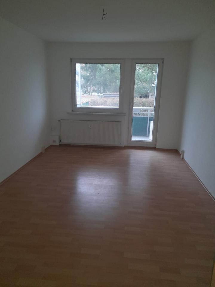 Thumbnail-(719) 1-Zimmer Erdgeschosswohnung in ruhiger Lage (17094 Pragsdorf)