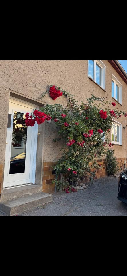 Thumbnail-Von Privat - Doppelhaushälfte 4 km zur Ostsee