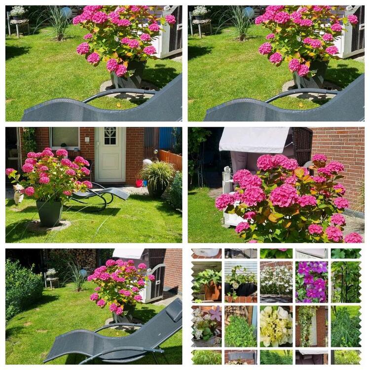 Thumbnail-Ferienwohnung Möwennest Nordsee Küste Wangerland Friesland