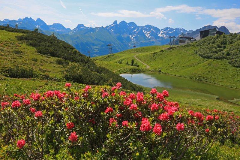 Thumbnail-traumhafte MAIWOCHEN in OBERSTDORF