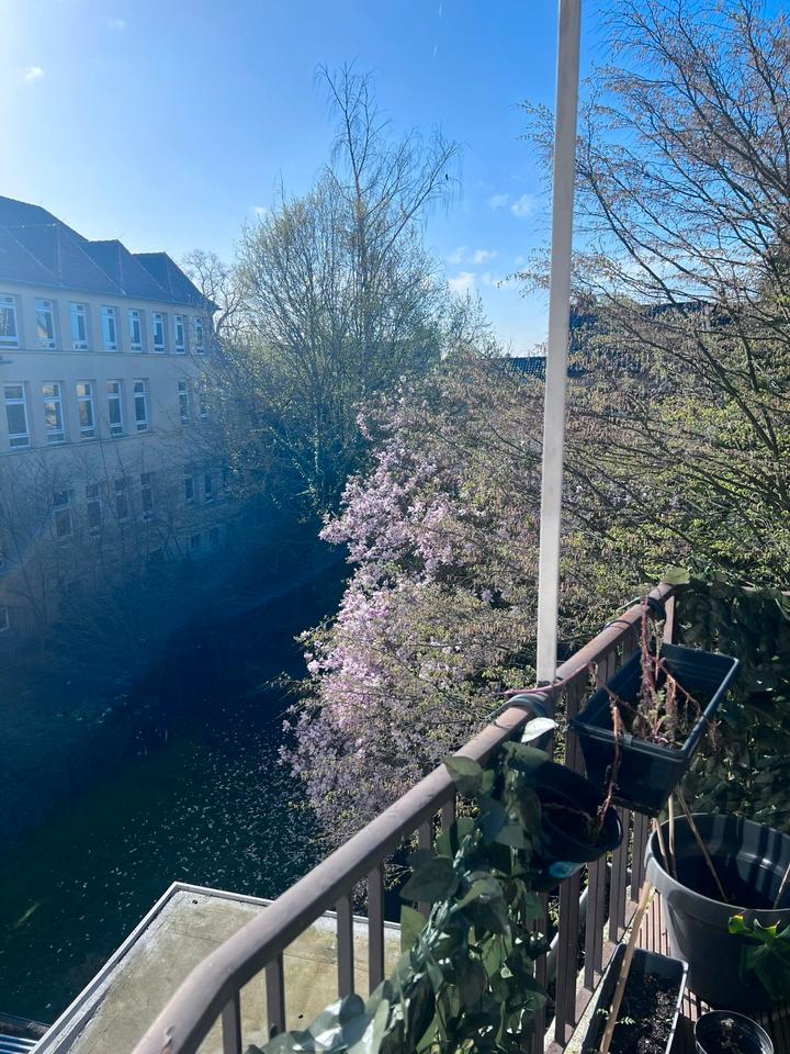 Thumbnail-Schöne, geräumige 2 Zimmer Wohnung in Mönchengladbach Rheydt