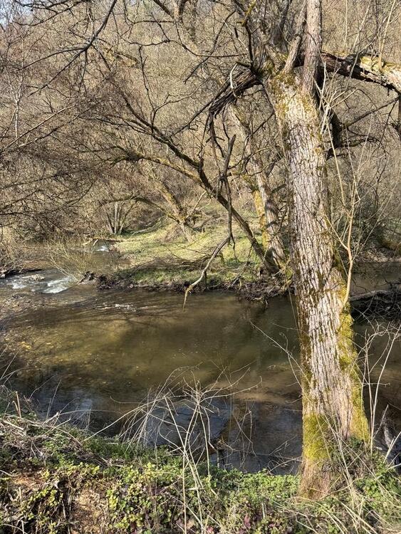 Thumbnail-Ein Zimmer Apartment zu vermieten