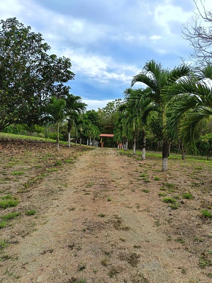 Thumbnail-Grundstück