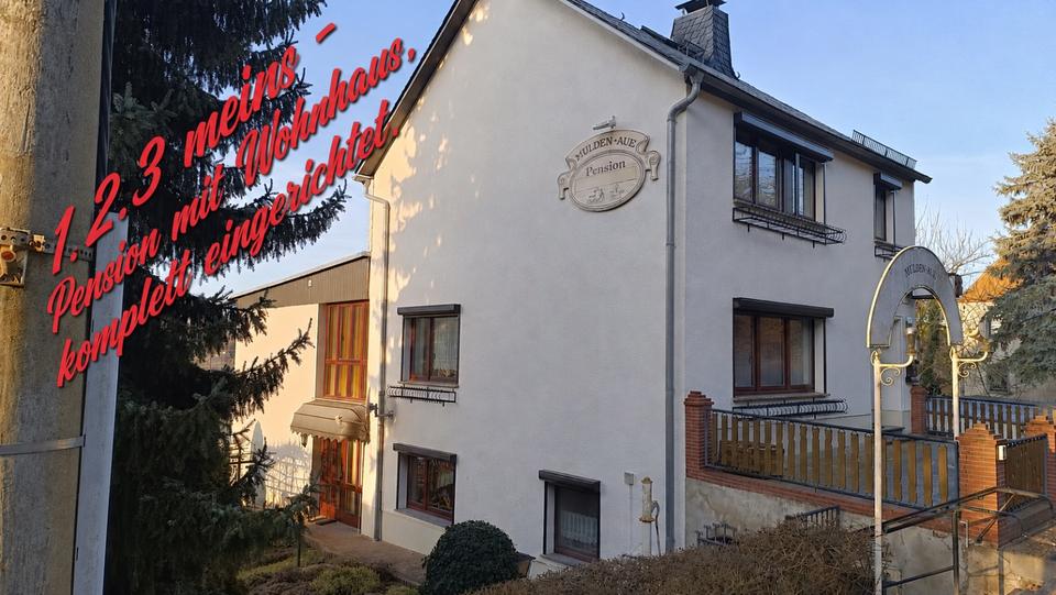 Thumbnail-haus - pension - cafe - Biergarten direkt an der Mulde in Leisnig