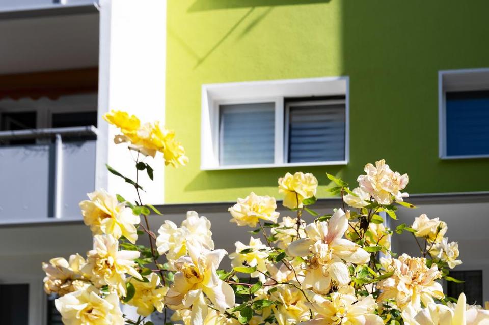 Thumbnail-4-Zimmer-Wohnung preiswert!