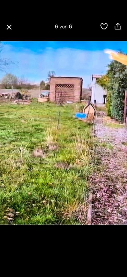 Thumbnail-Zwei Grundstücke in 39319 Jerichow, nicht in Berlin!!!!