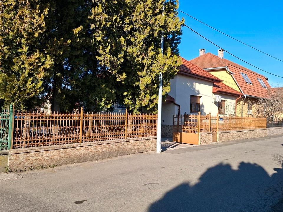 Thumbnail-Exklusives Anwesen in Satu Mare Rumänien – 33 Ar Grundstück