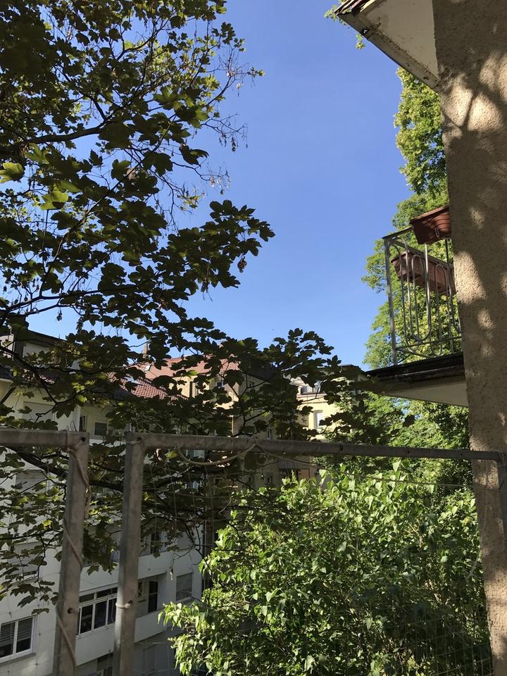 Thumbnail-Klasse Lage: WG möglich, 3 Zi.-Whg., EKB, Terrasse Kernerviertel Schützenstraße