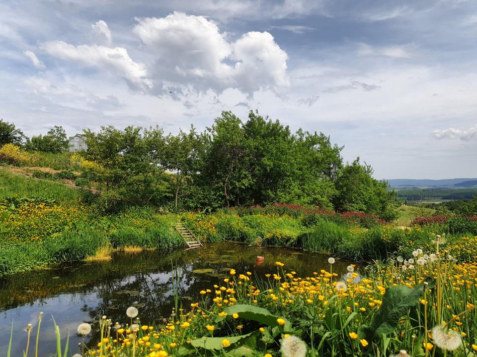 Thumbnail-Zimmer frei in Hof-Wohngemeinschaft