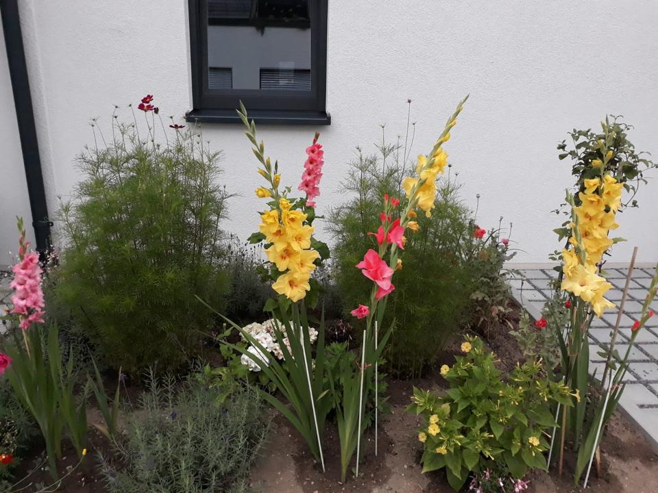 Thumbnail-Reihenendhaus