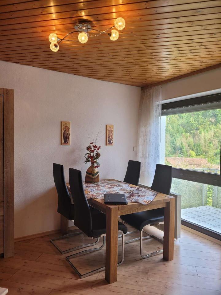 Thumbnail-Schöne 1 Zimmer Wohnung mit EBK und Balkon in Schönmünzach