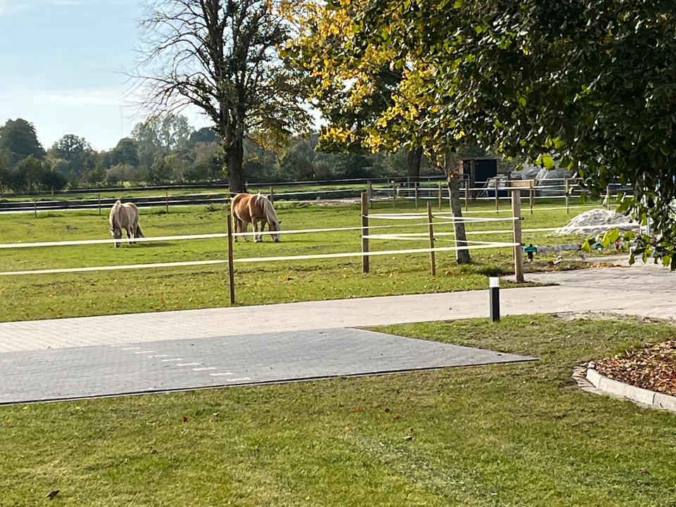 Thumbnail-Wohnung Saterland