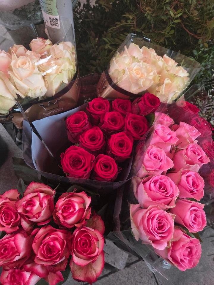 Thumbnail-Wohnung zu vermieten