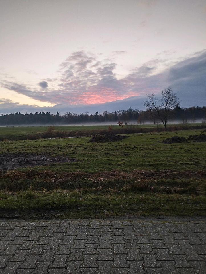 Thumbnail-FachwerkhausBauernhaus