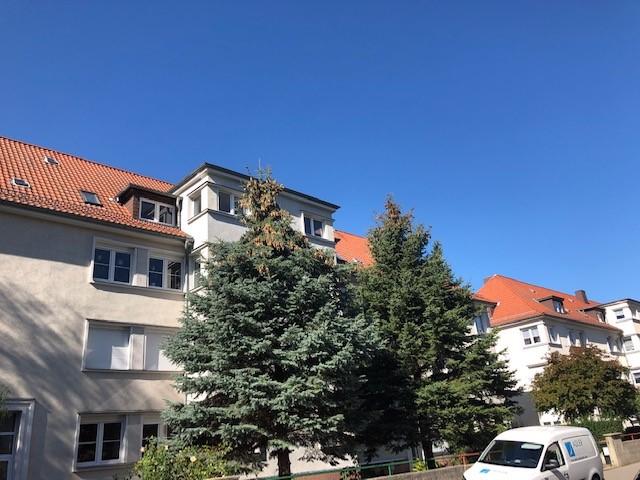 Thumbnail-Frisch sanierte Wohnung im Dachgeschoss!