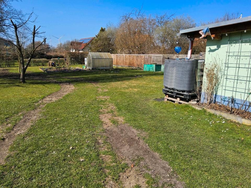 Thumbnail-EFH mit Einliegerwohnung