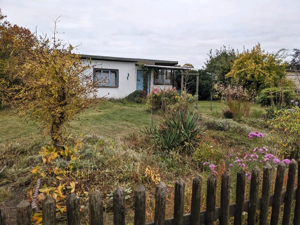 Thumbnail-Pachtgarten in KGV Seilbahn ab April